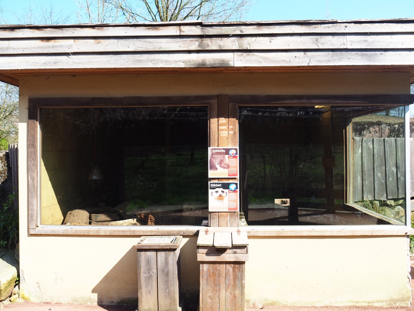 Meerkat and Indian crested porcupine house, 2019-03-30