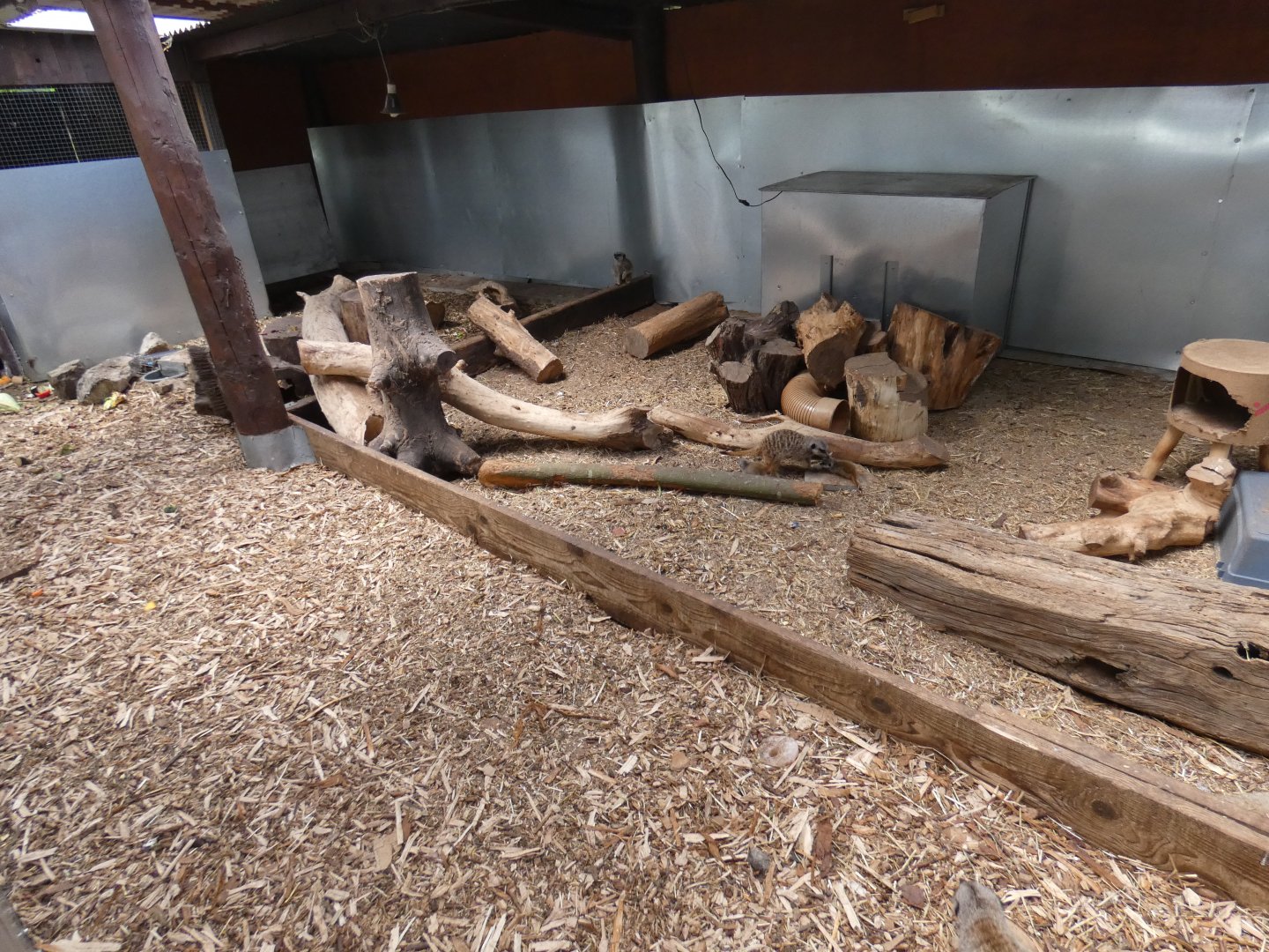 Meerkat and Porcupine enclosure (Greenacres Animal Park)