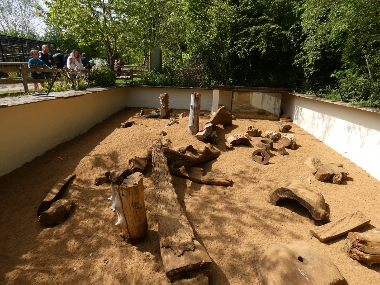 Meerkat and porcupine enclosure