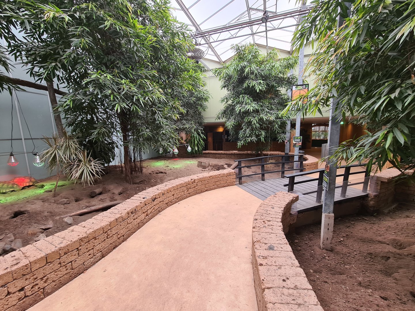 Meerkat and Spurred tortoise room