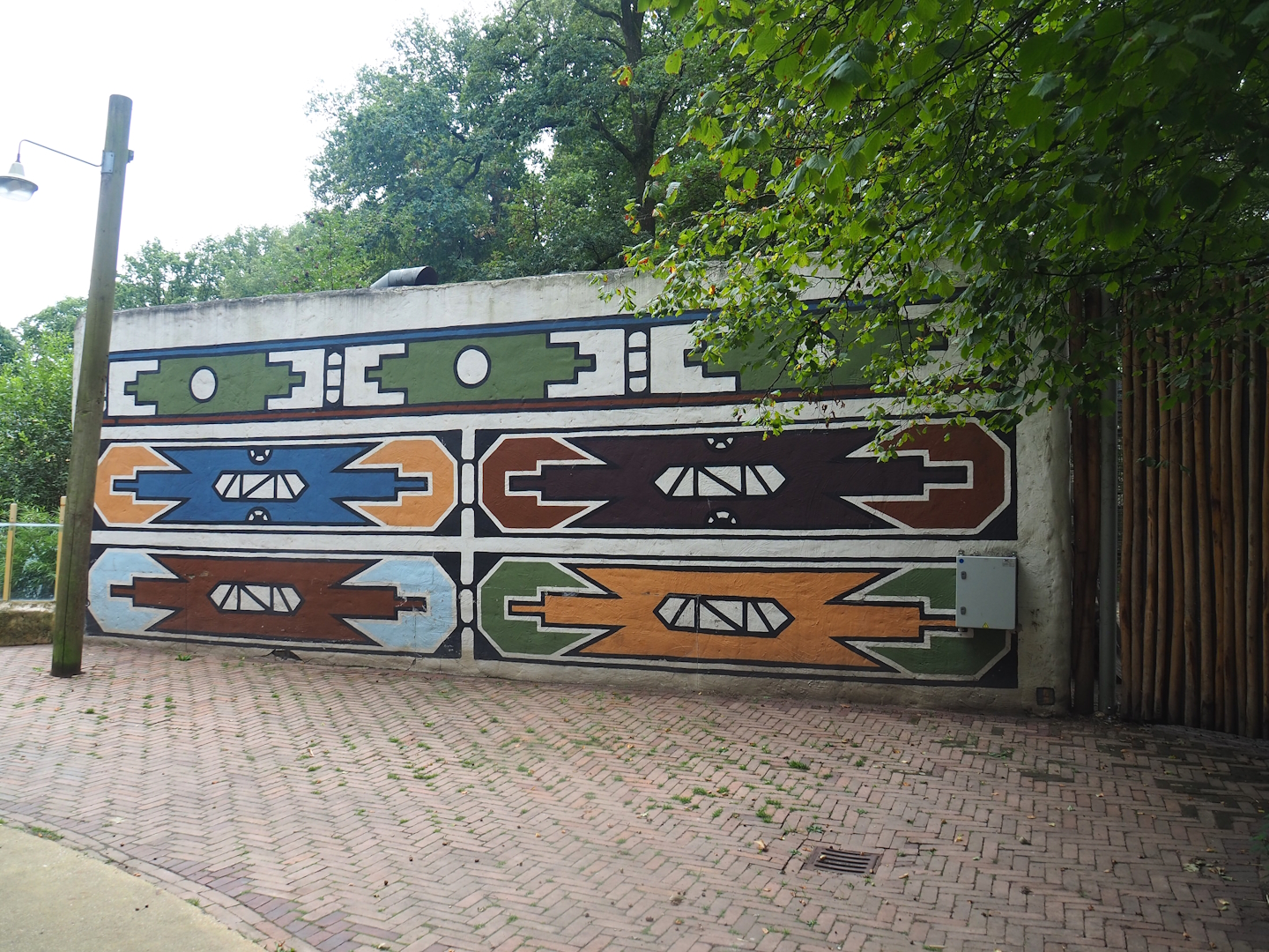 Meerkat and warthog building, 2023-08-17