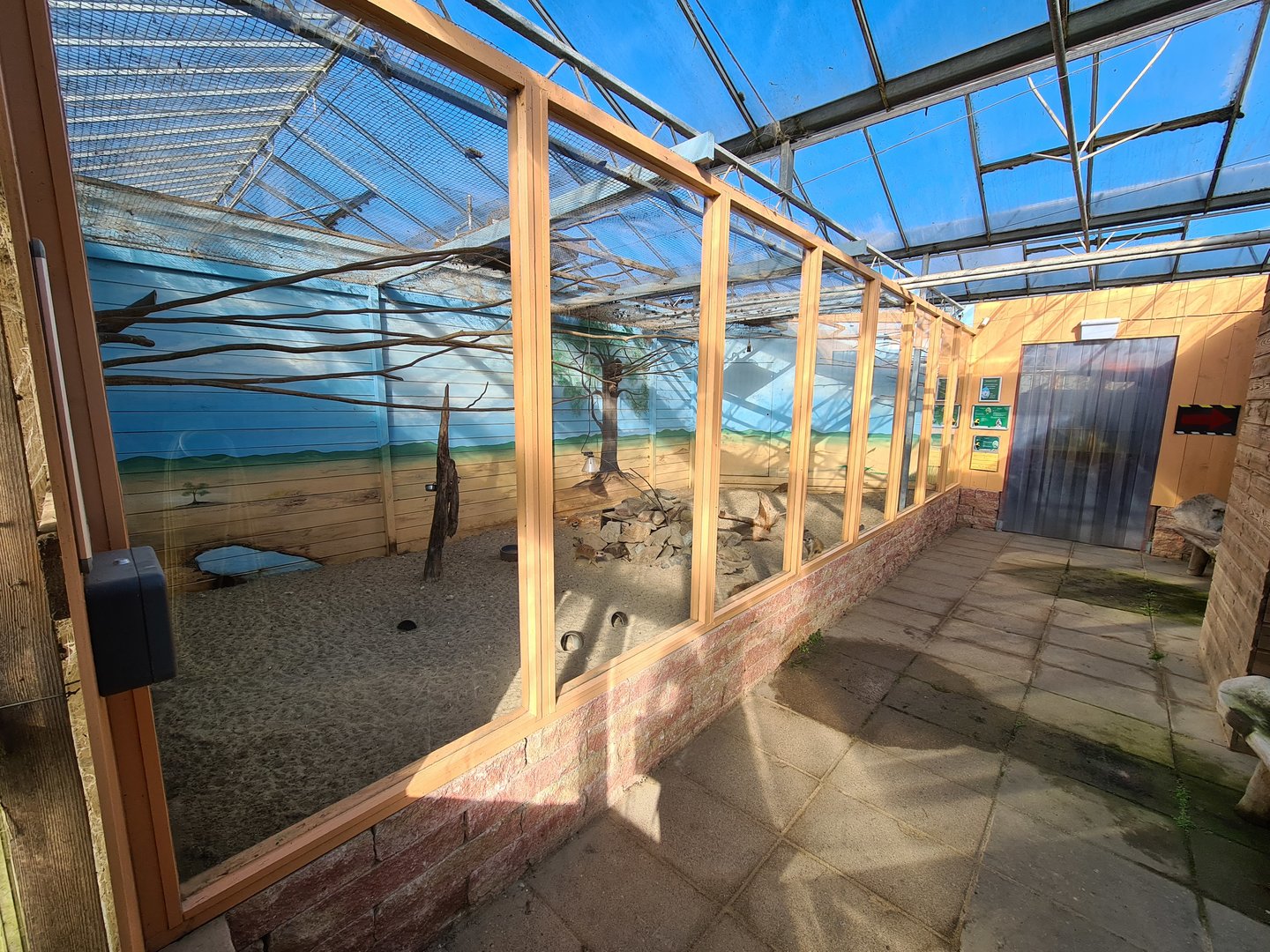 Meerkat and Yellow-crowned Bishop enclosure