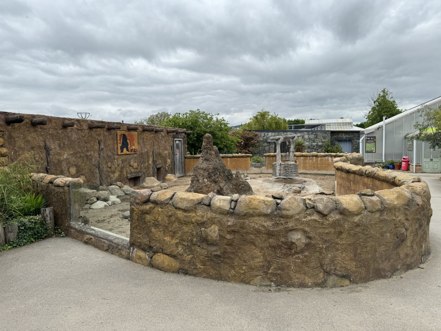 Meerkat at Woodside Wildlife Park (May 2024)