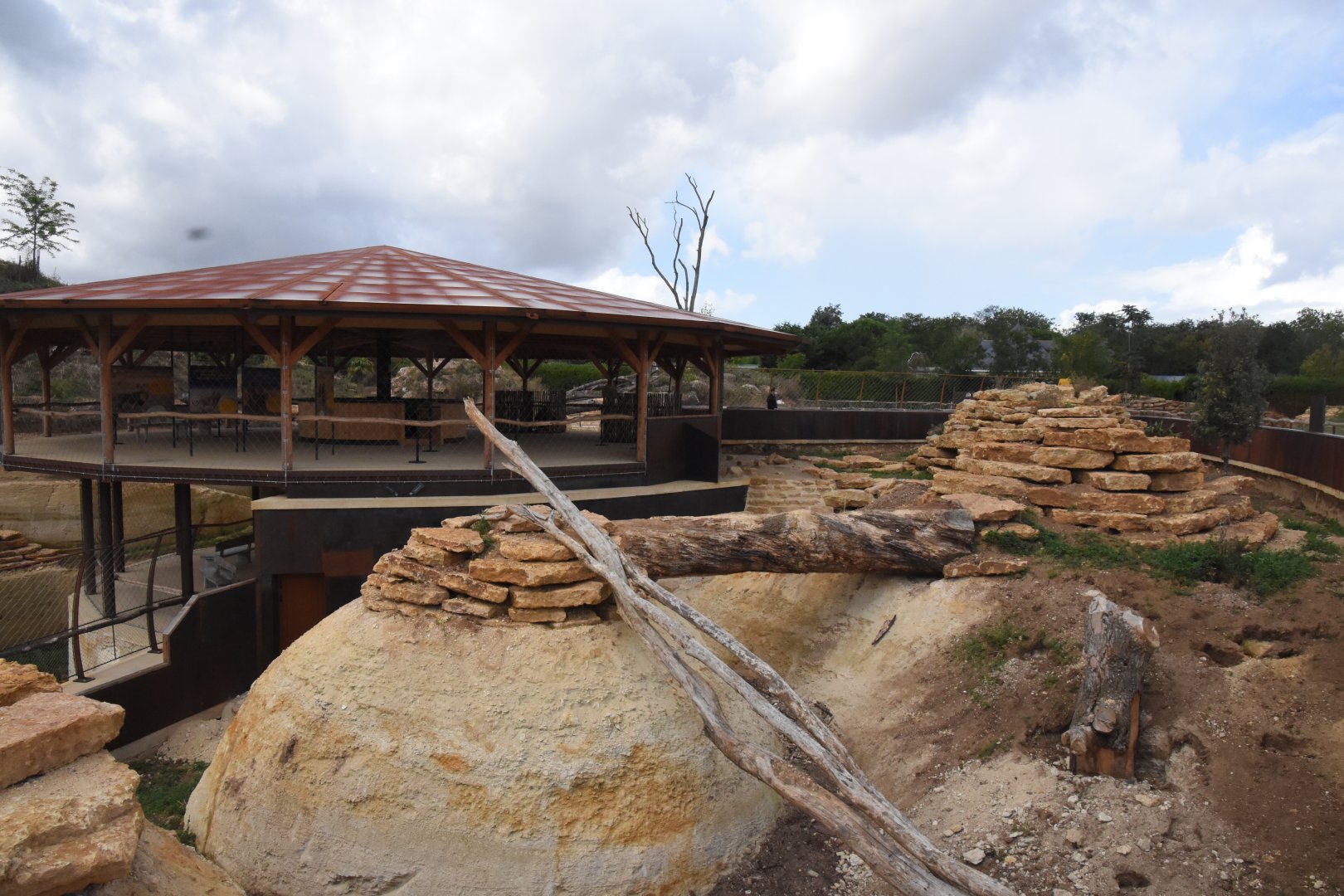 Meerkat, Bat-eared Fox & Aardvark enclosure