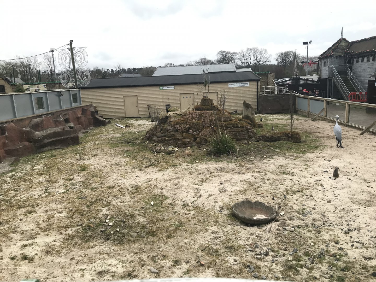 Meerkat, blue crane and spurred tortoise enclosure
