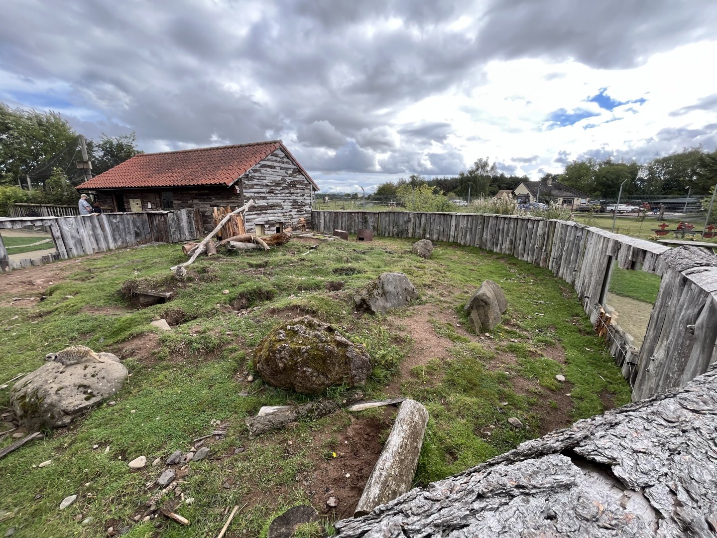 Meerkat, cape porcupine and sulcatta enclosure 1.9.25