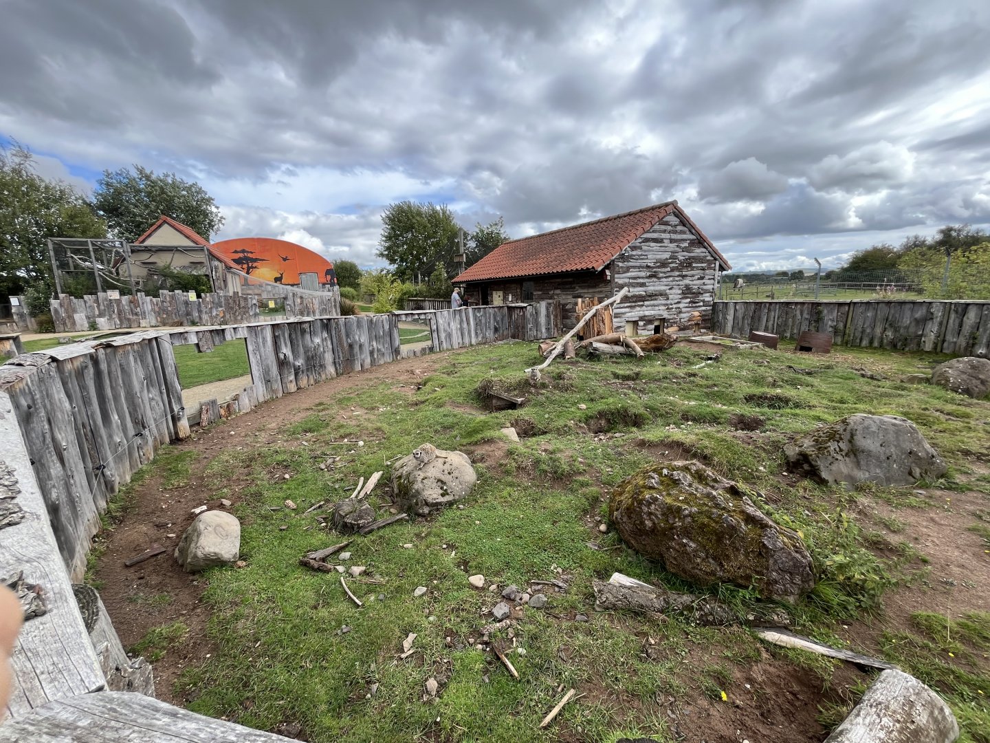 Meerkat, cape porcupine and sulcatta enclosure 1.9.25