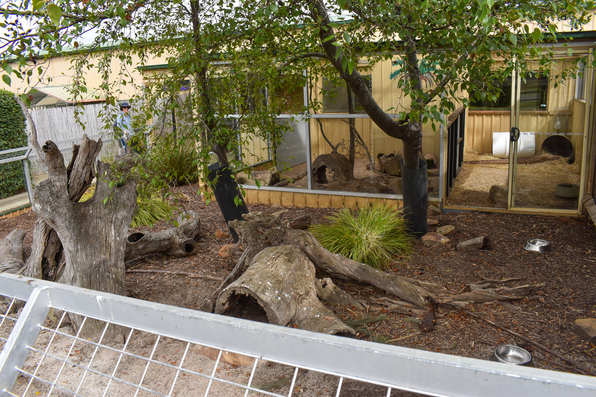 Meerkat/Cape Porcupine enclosure