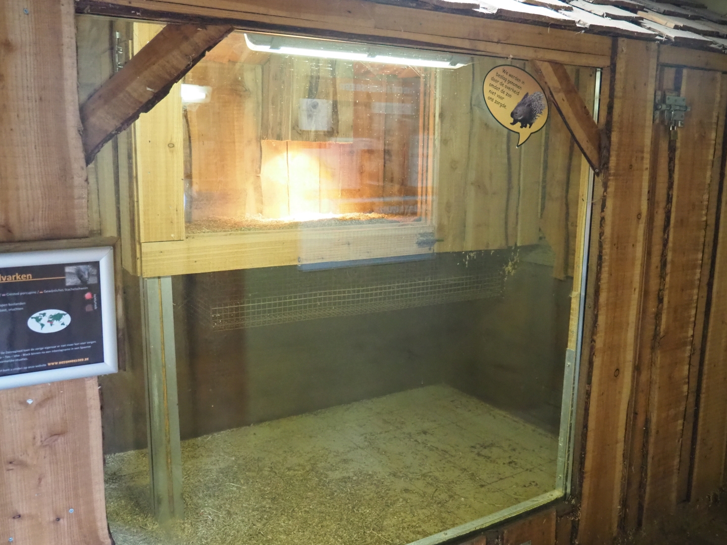 Meerkat - Crested porcupine indoor housing