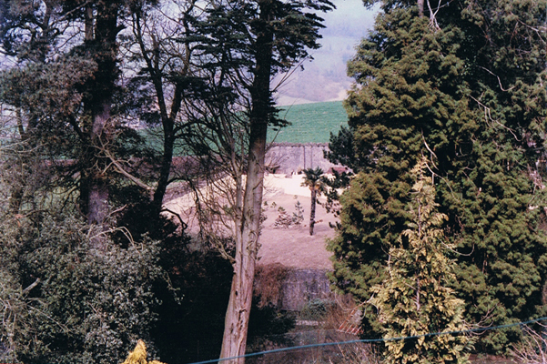 Meerkat Desert Combe Martin 1989