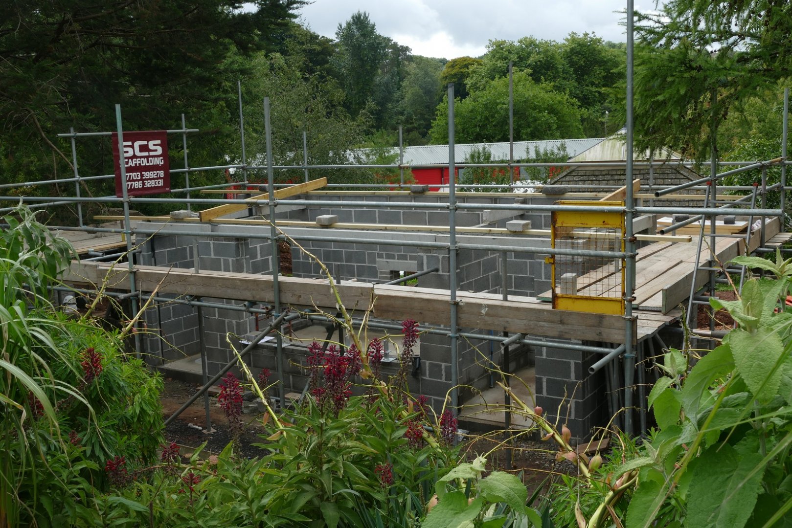 Meerkat development, August 2018