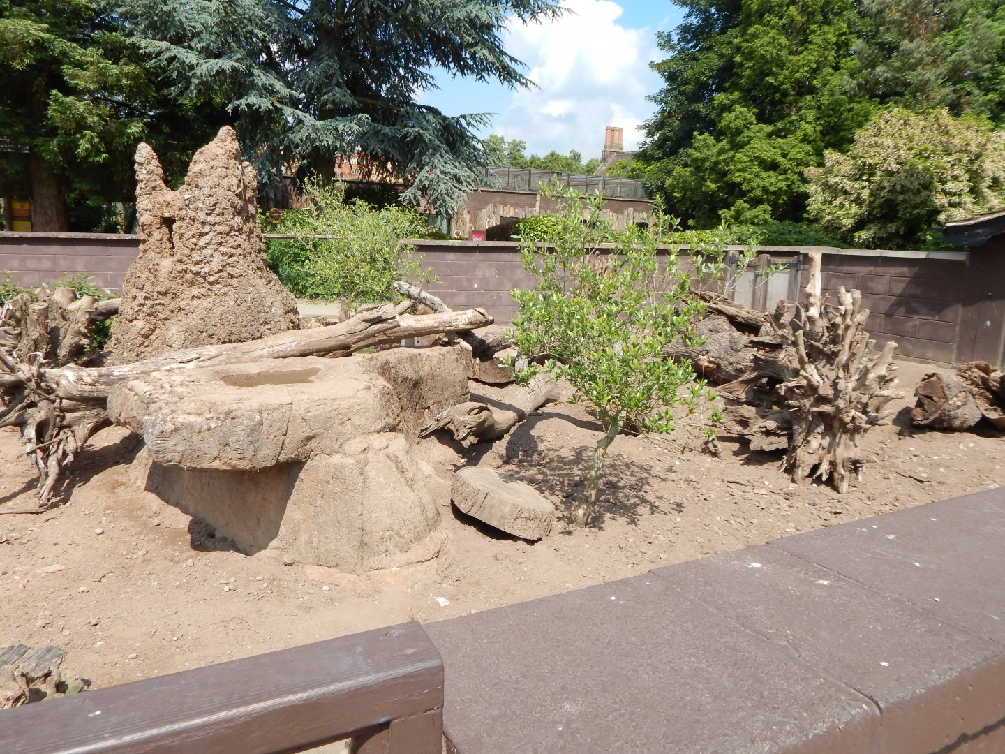 Meerkat enclosure 020721