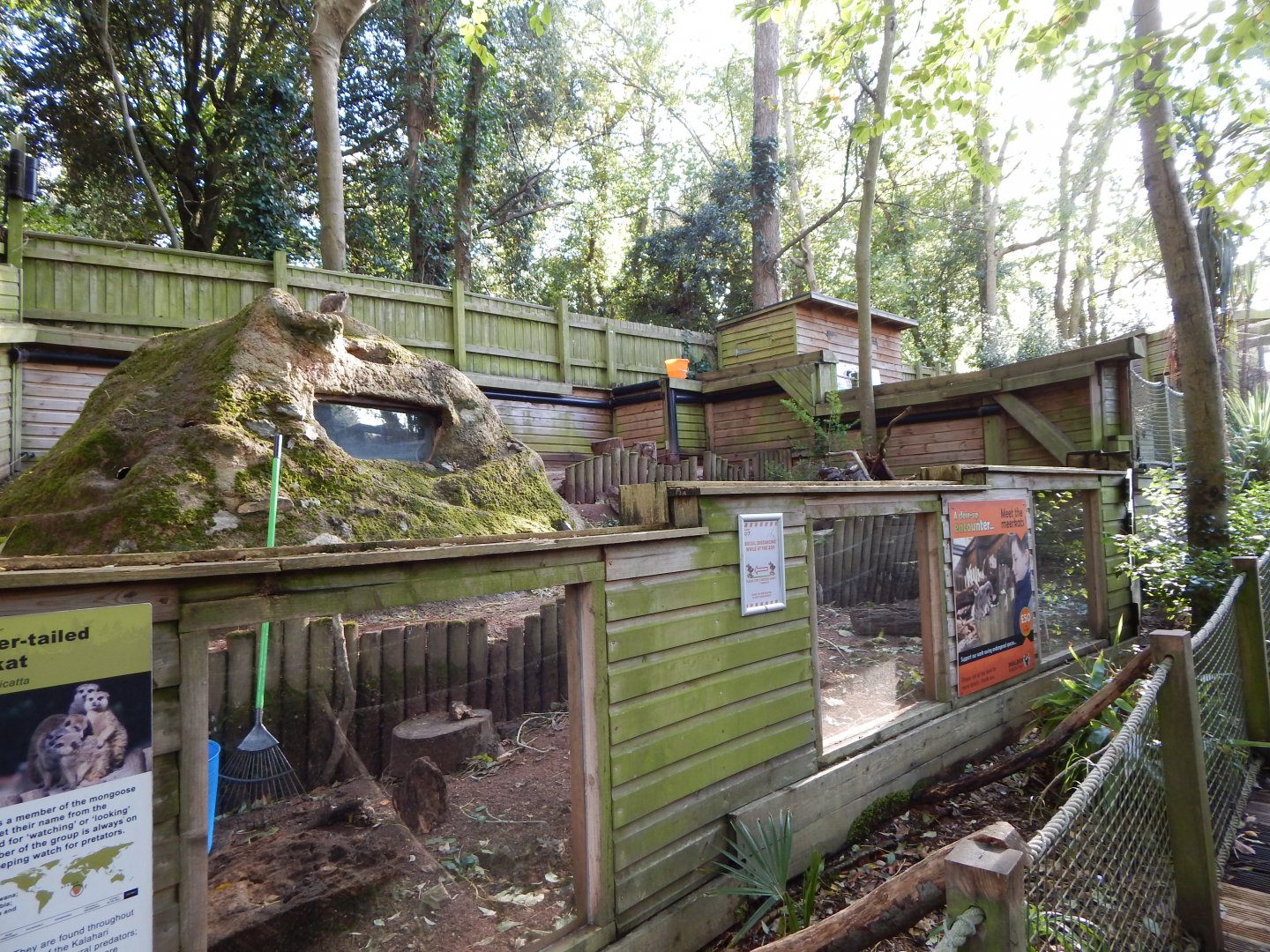 Meerkat enclosure 021120