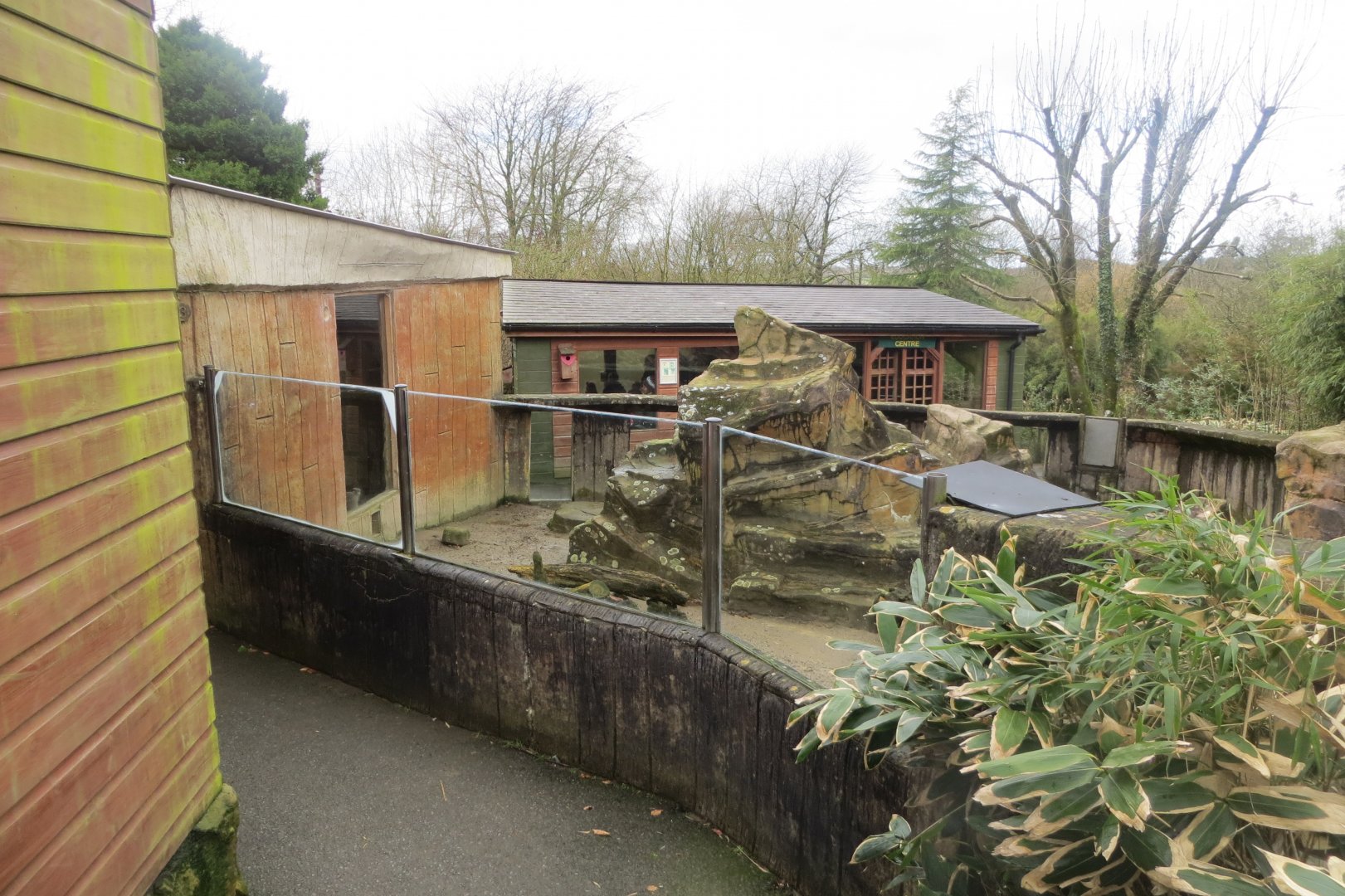 Meerkat enclosure 040319