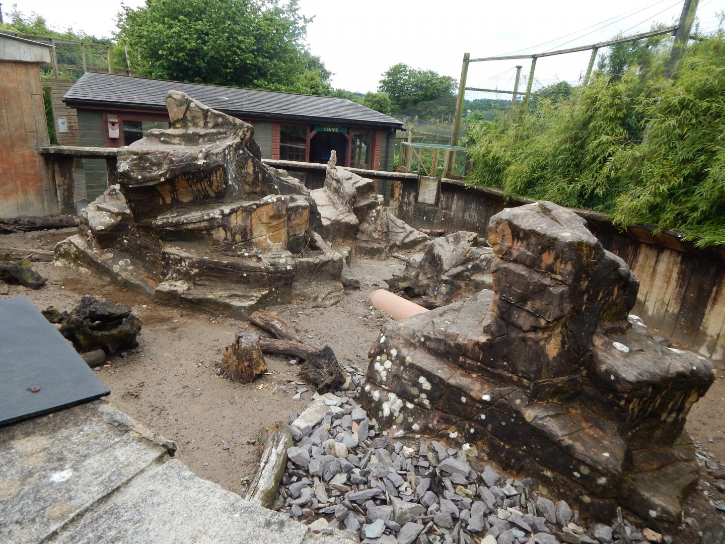 Meerkat enclosure 050625
