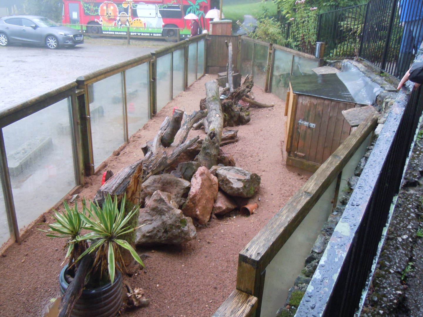 Meerkat enclosure 050820