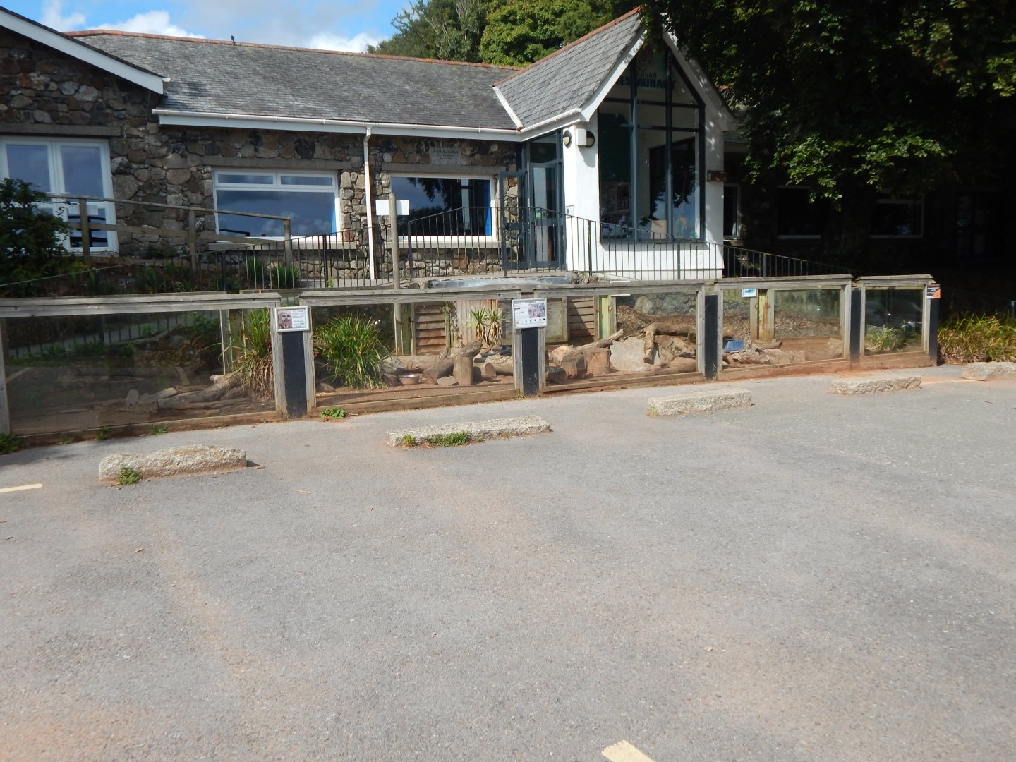 Meerkat enclosure 050925