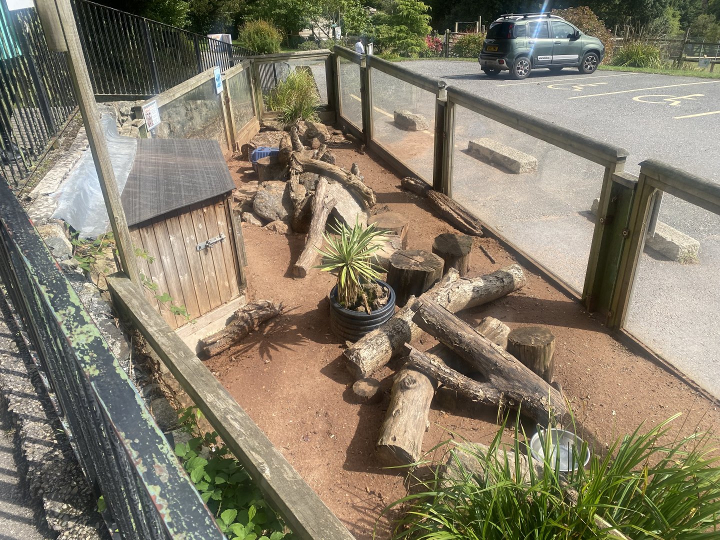 Meerkat enclosure 050925