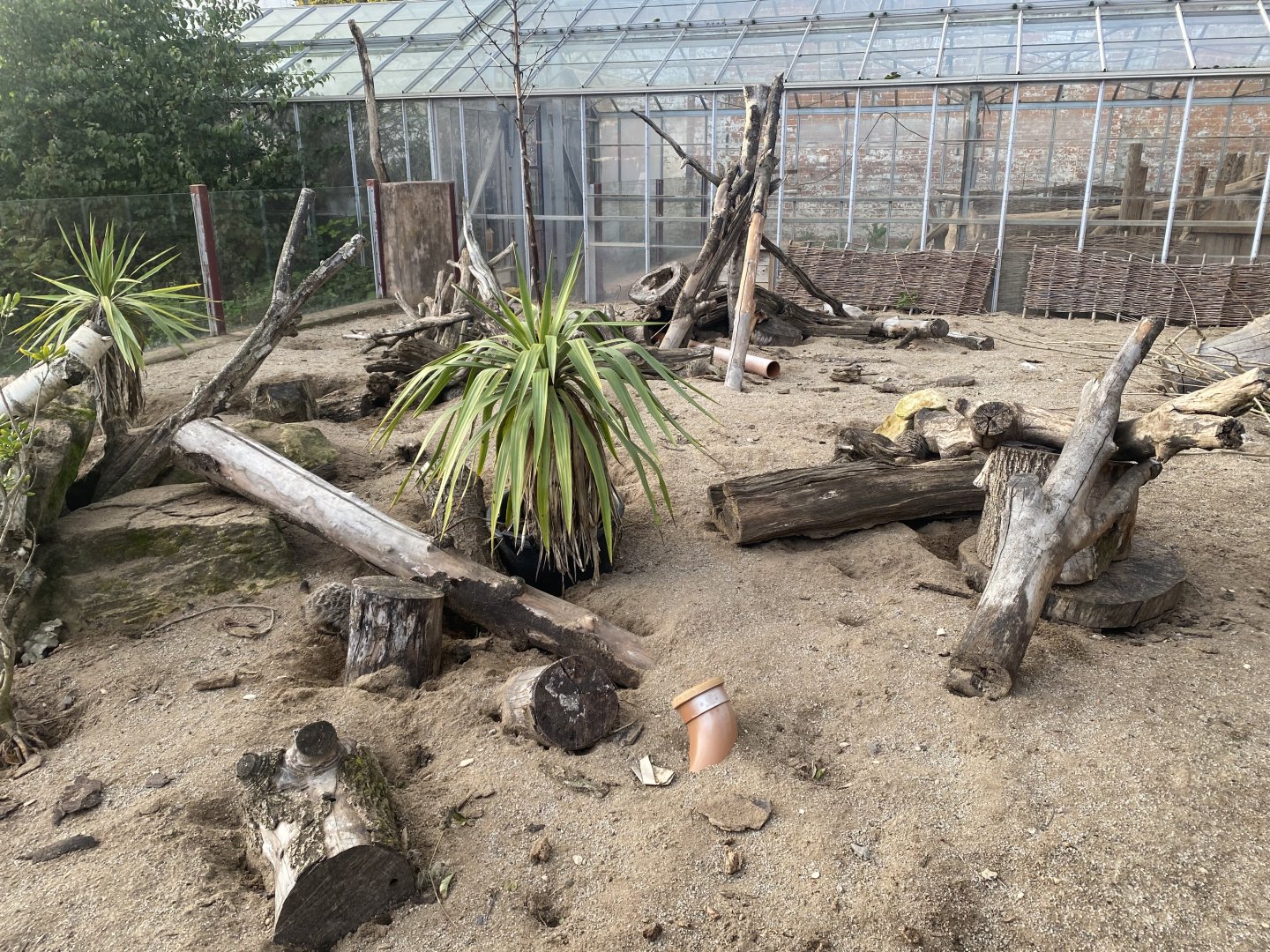 Meerkat enclosure 051123