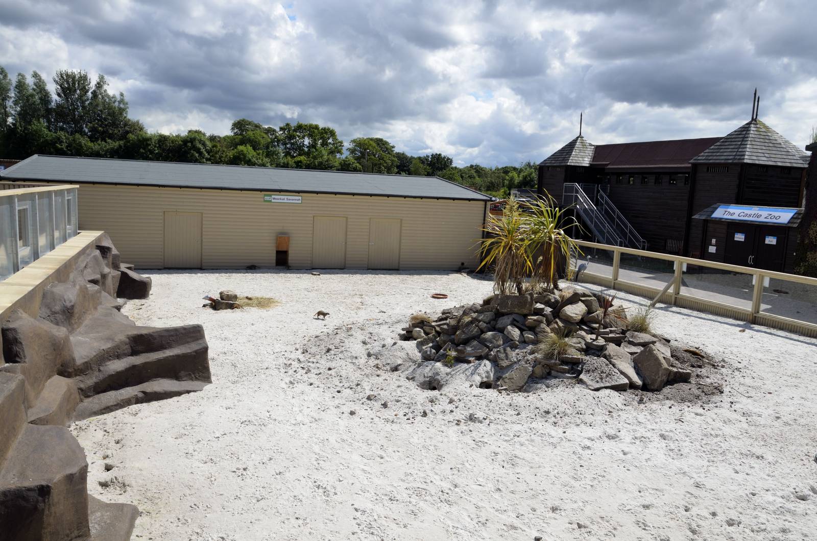 Meerkat enclosure-06/07/2014