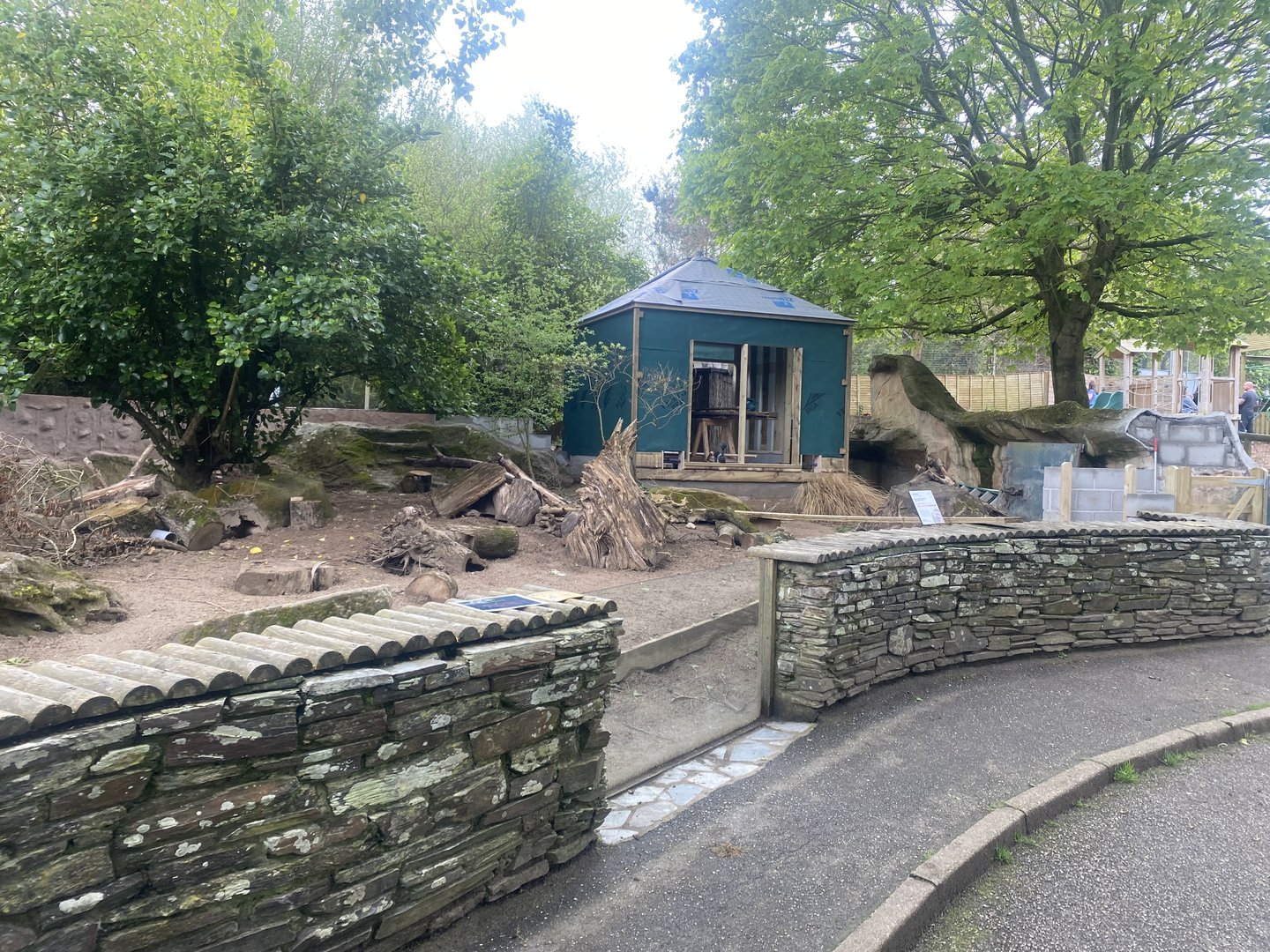 Meerkat enclosure 060523