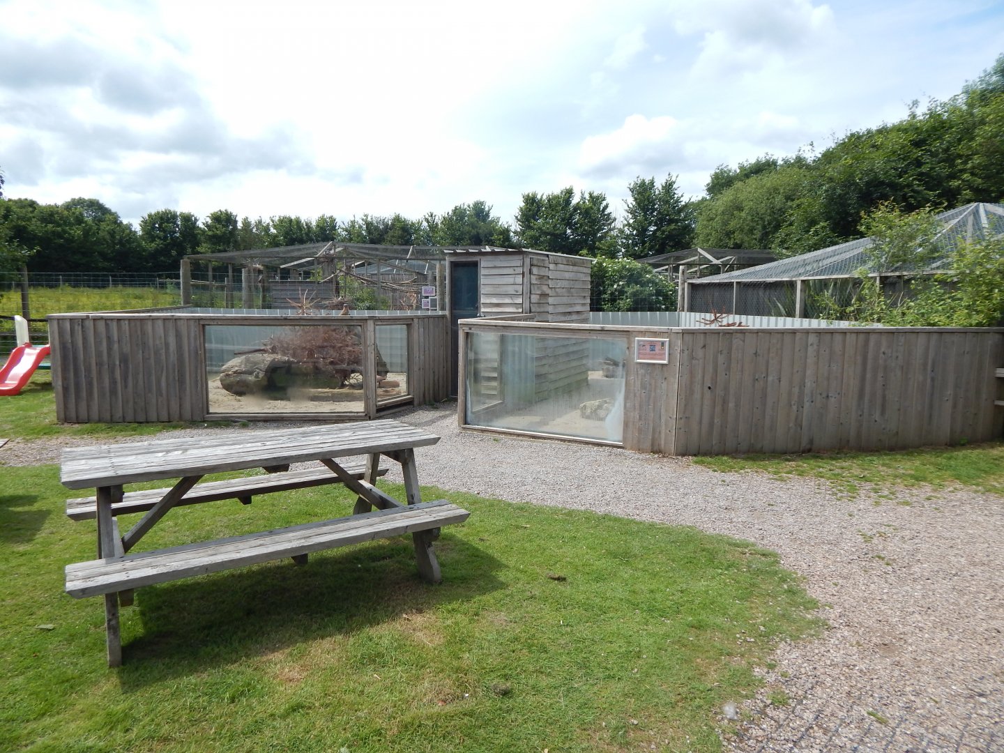 Meerkat enclosure 060625