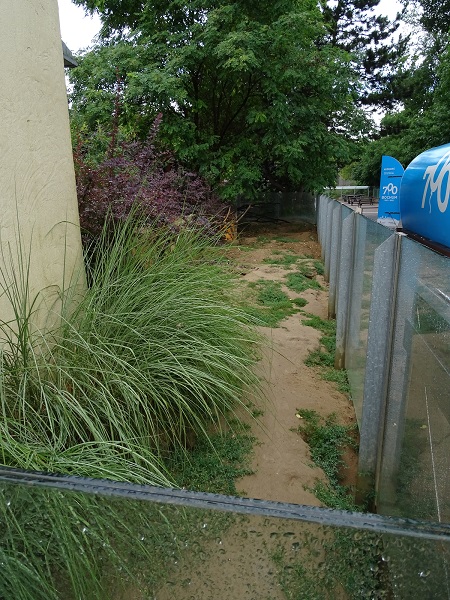 Meerkat enclosure (07/22)