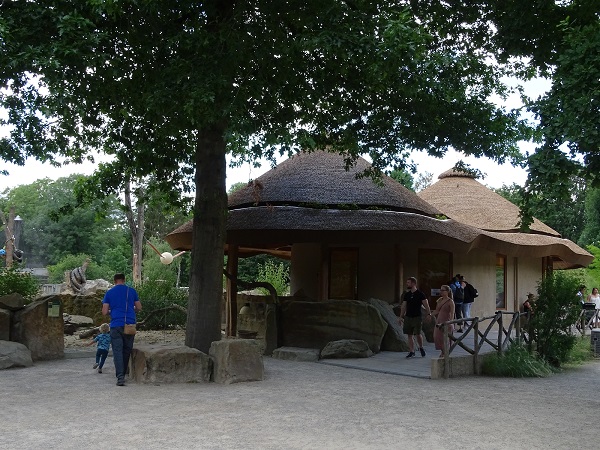 Meerkat enclosure (07/22)