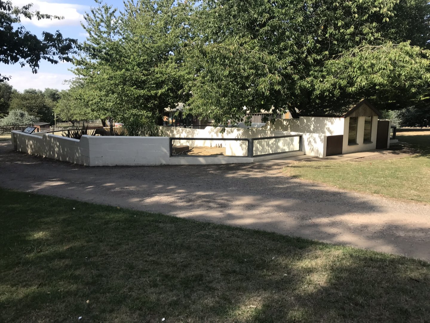Meerkat enclosure 080818