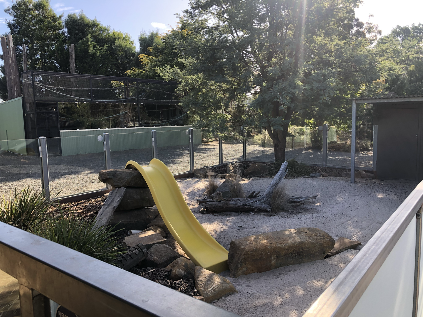 Meerkat enclosure-1 of 2