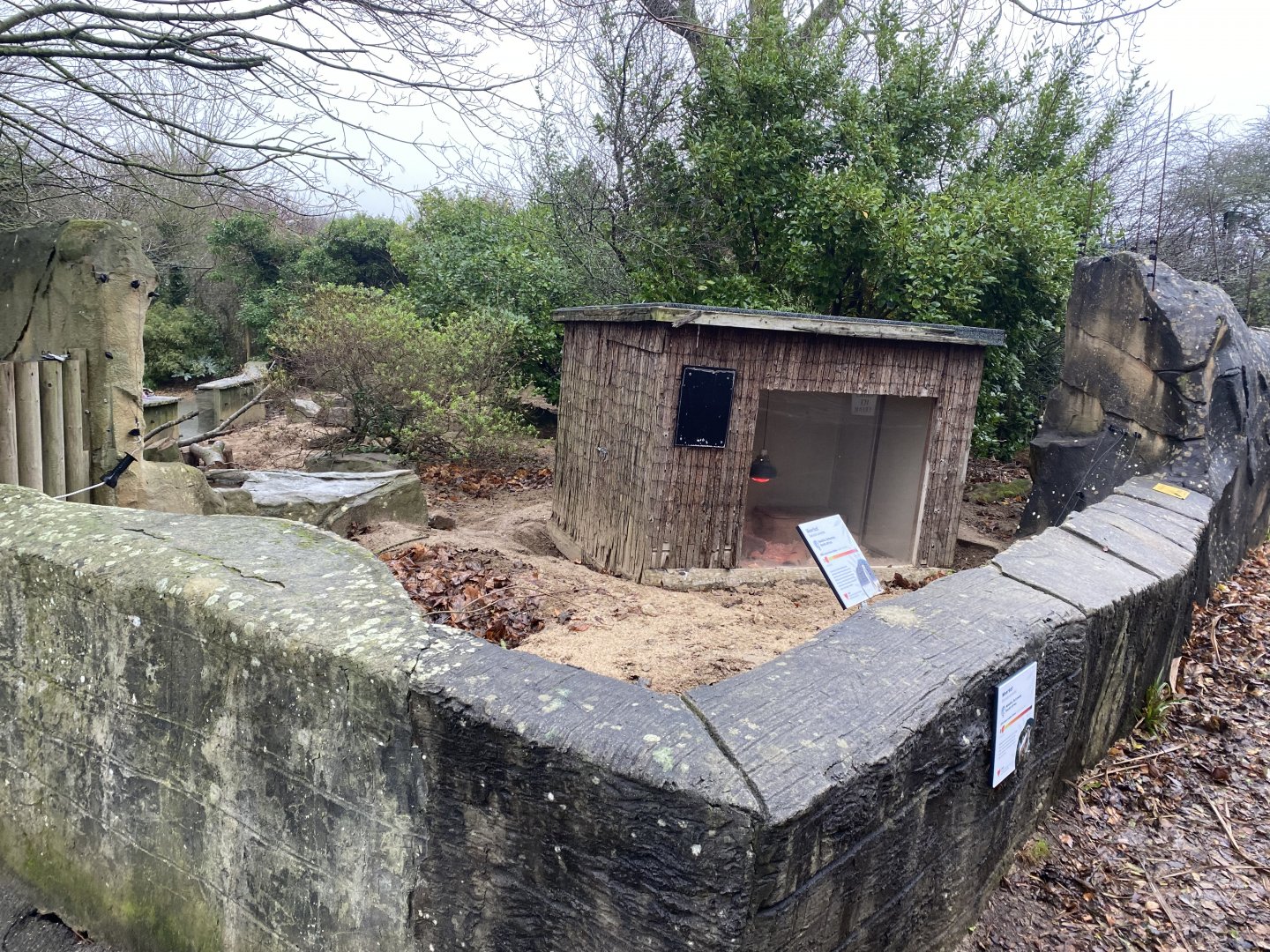 Meerkat enclosure 111221