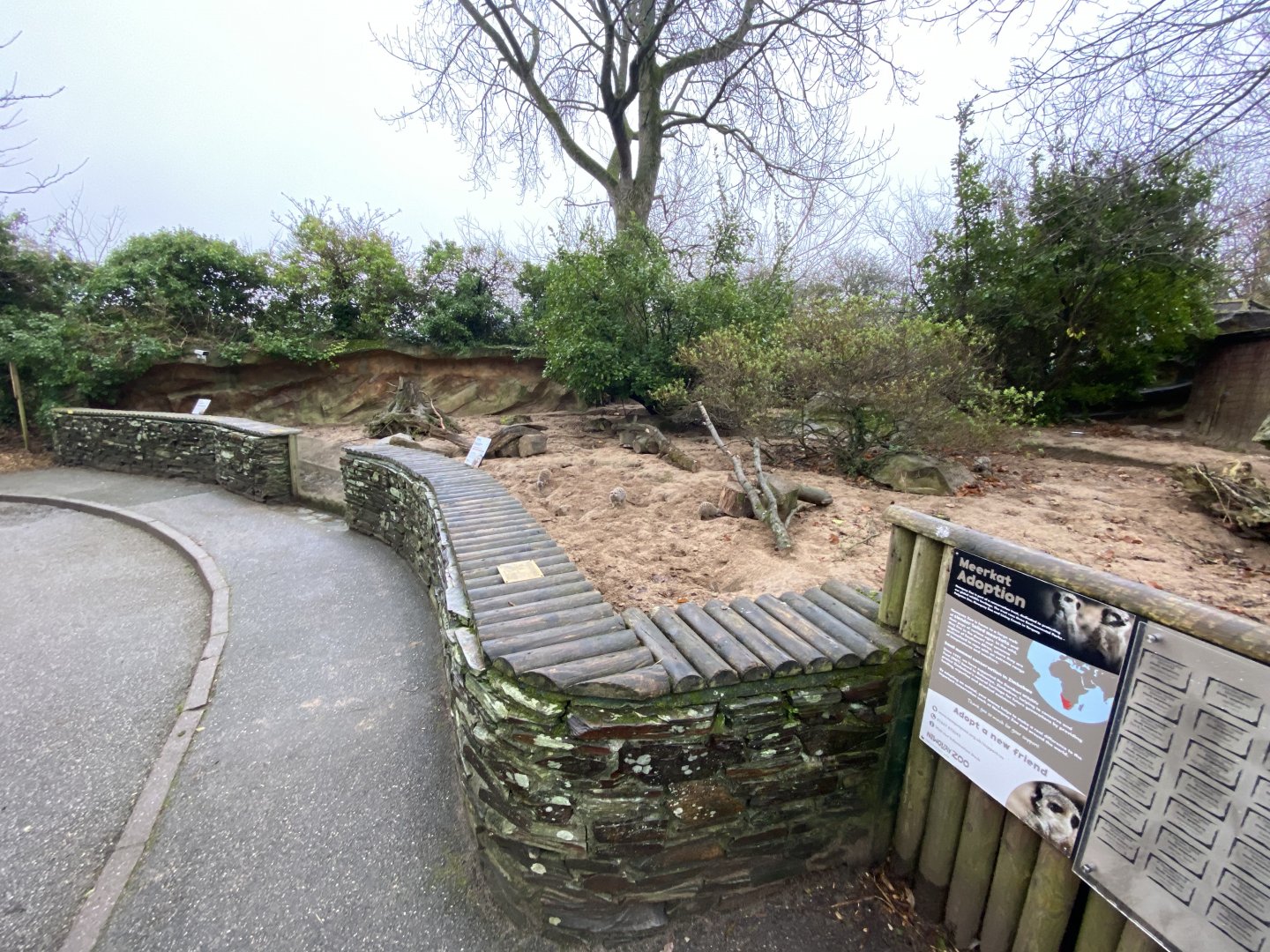 Meerkat enclosure 111221