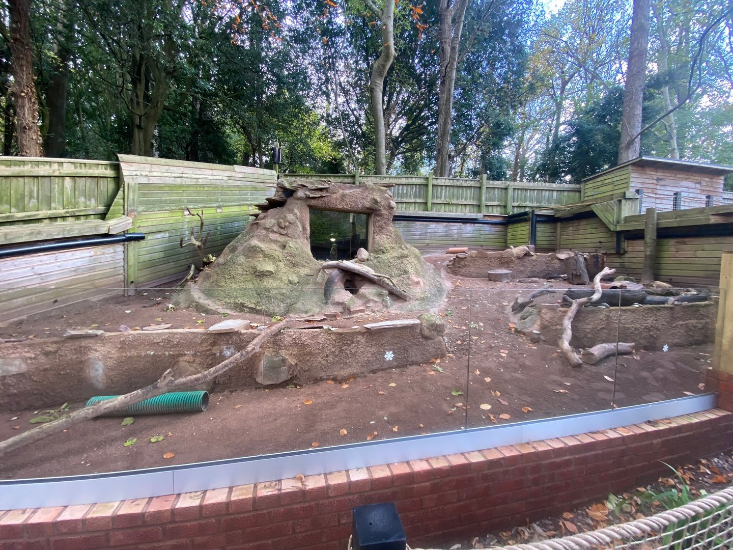 Meerkat enclosure 111222