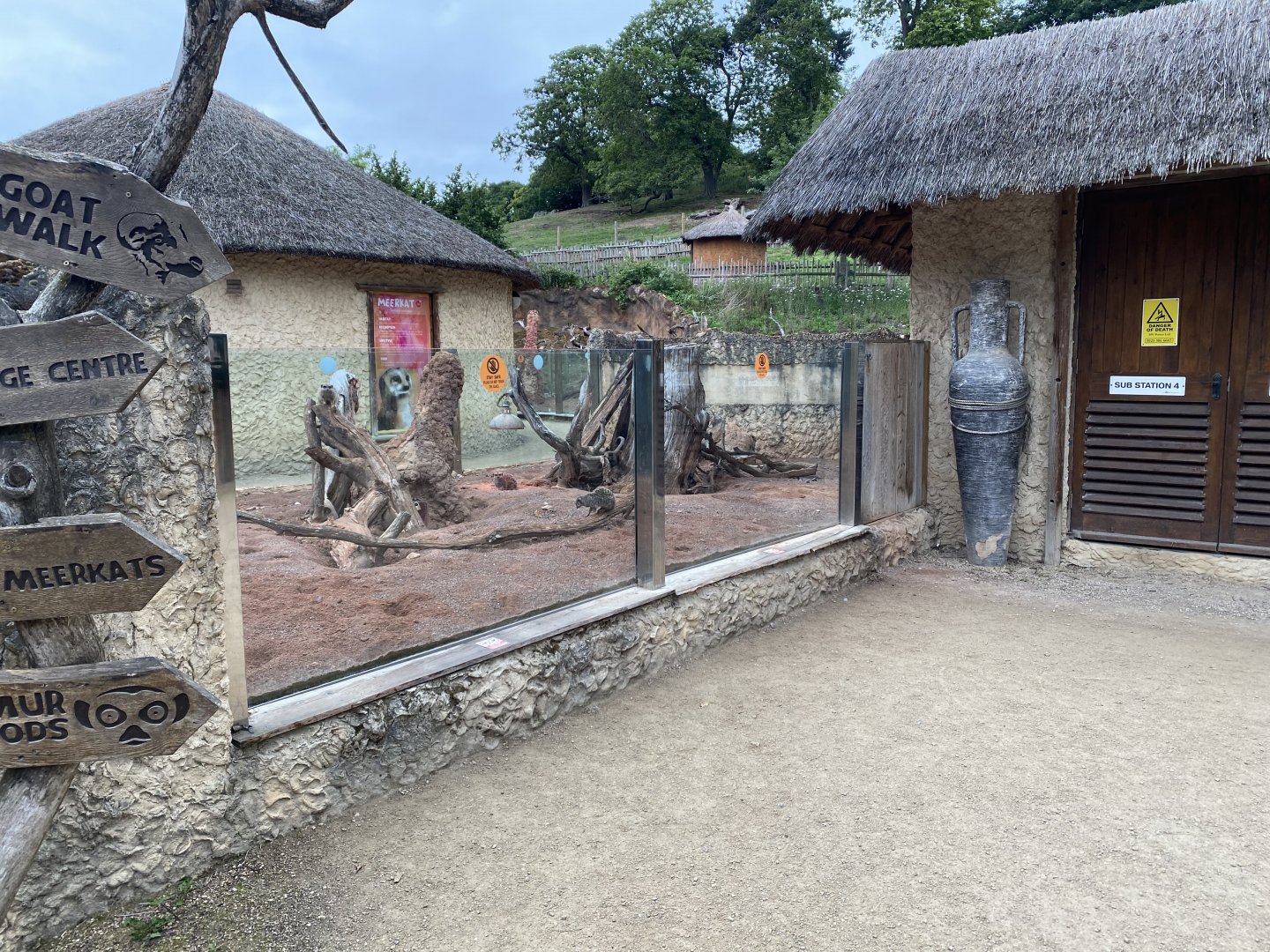 Meerkat enclosure 130720