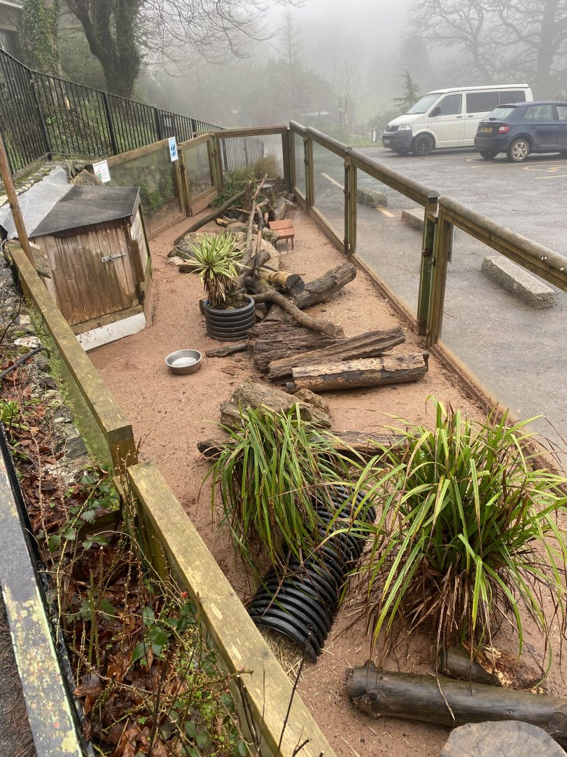 Meerkat enclosure 140224