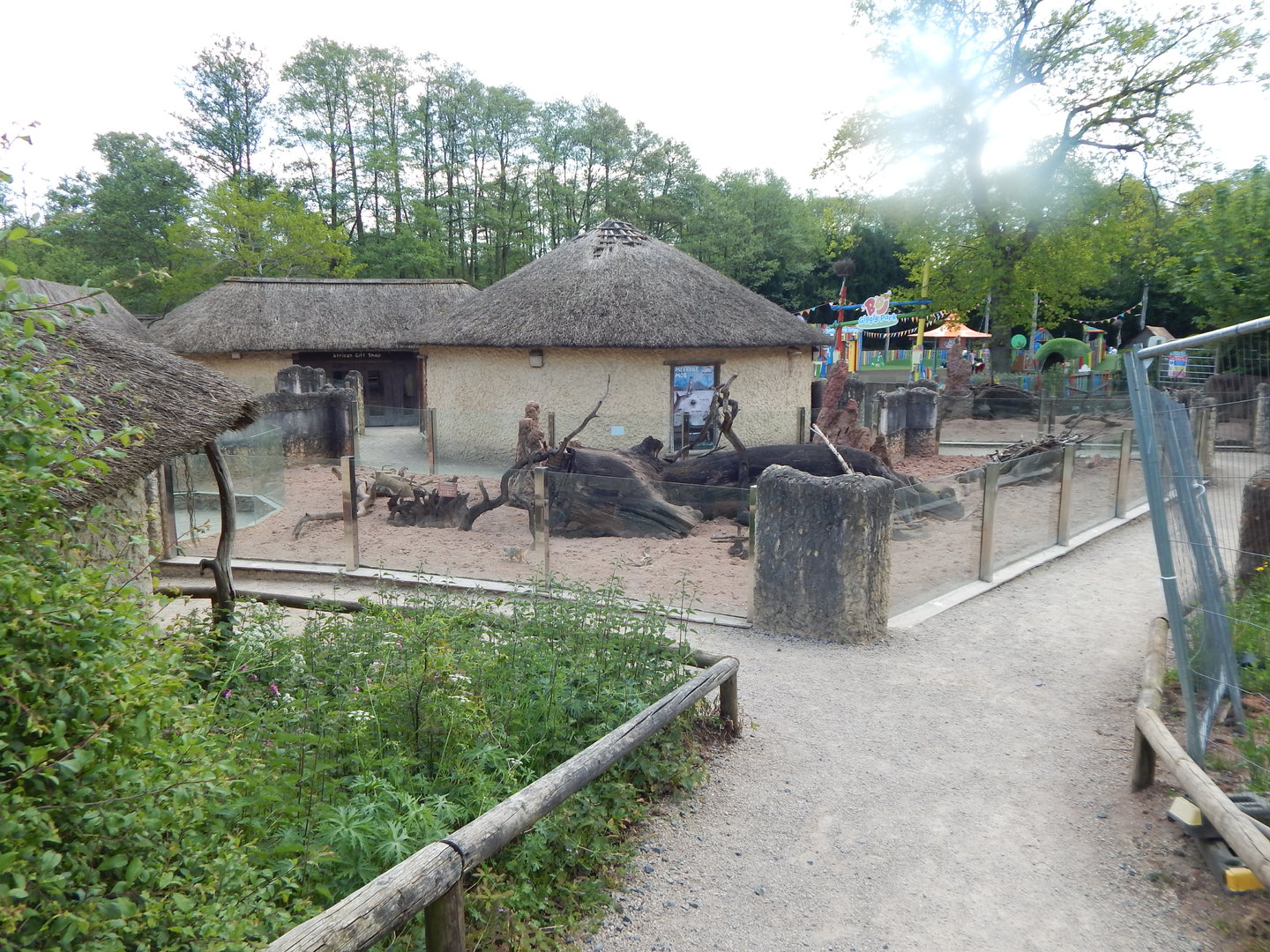 Meerkat enclosure 150523
