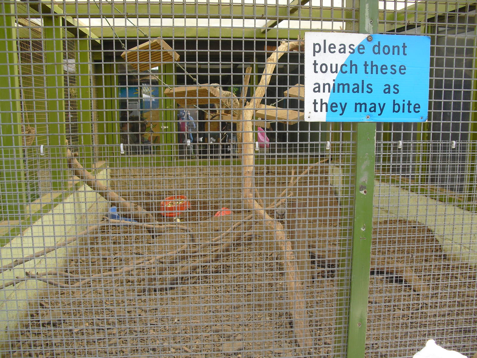 Meerkat Enclosure - 16/10/2011