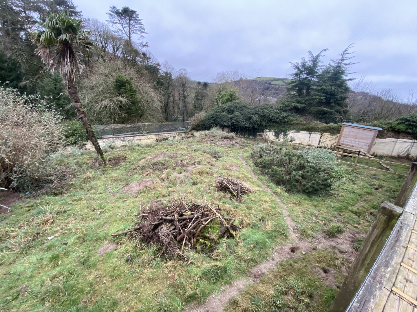 Meerkat enclosure 170224