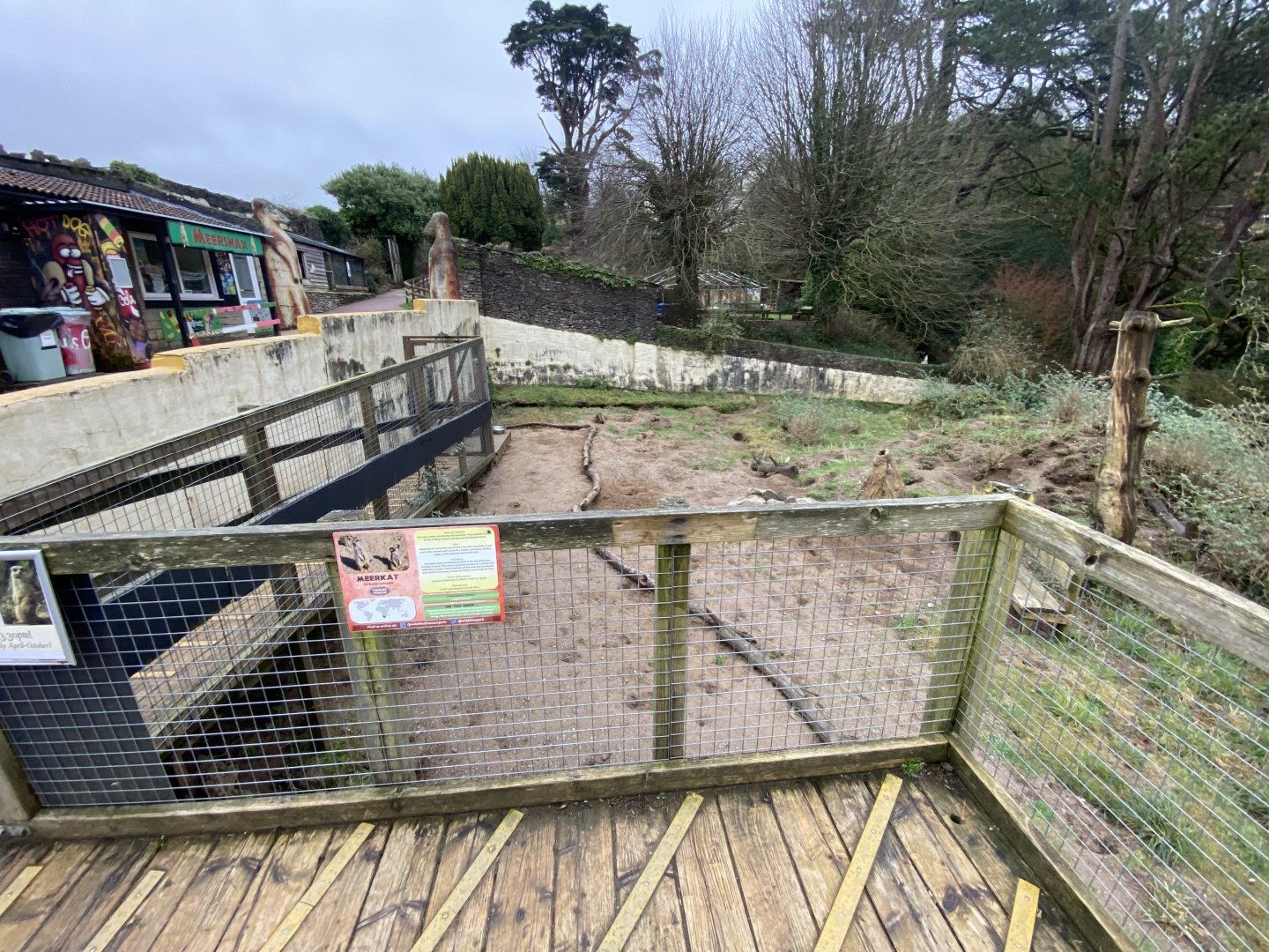 Meerkat enclosure 170224