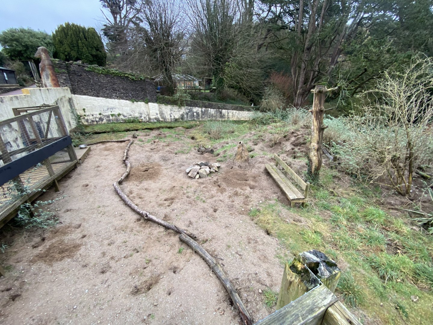 Meerkat enclosure 170224