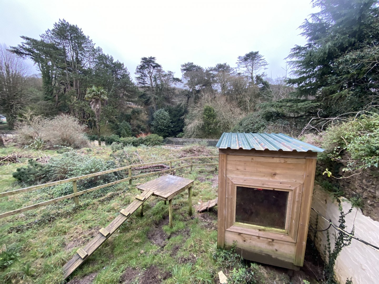 Meerkat enclosure 170224