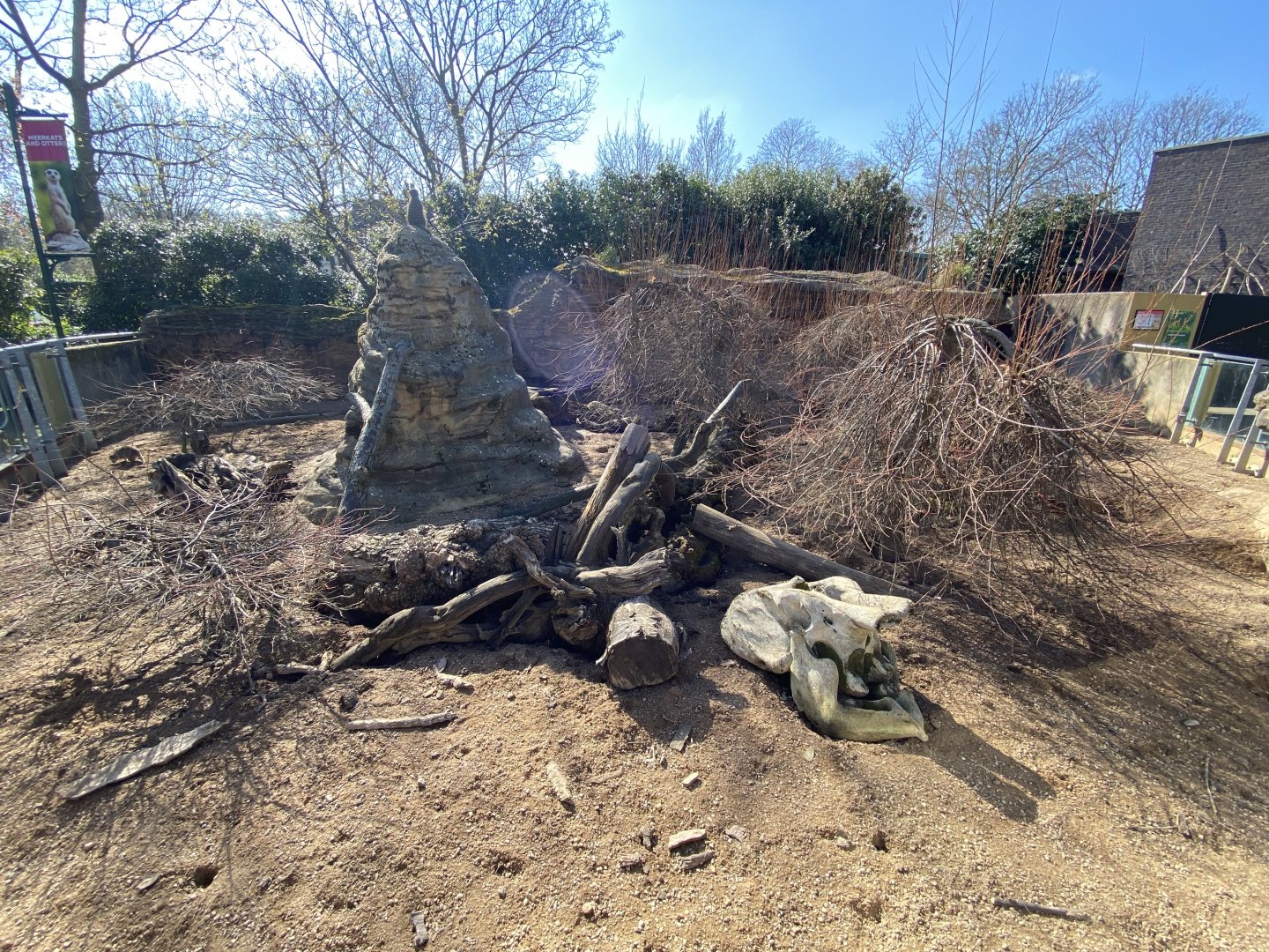 Meerkat enclosure 180322