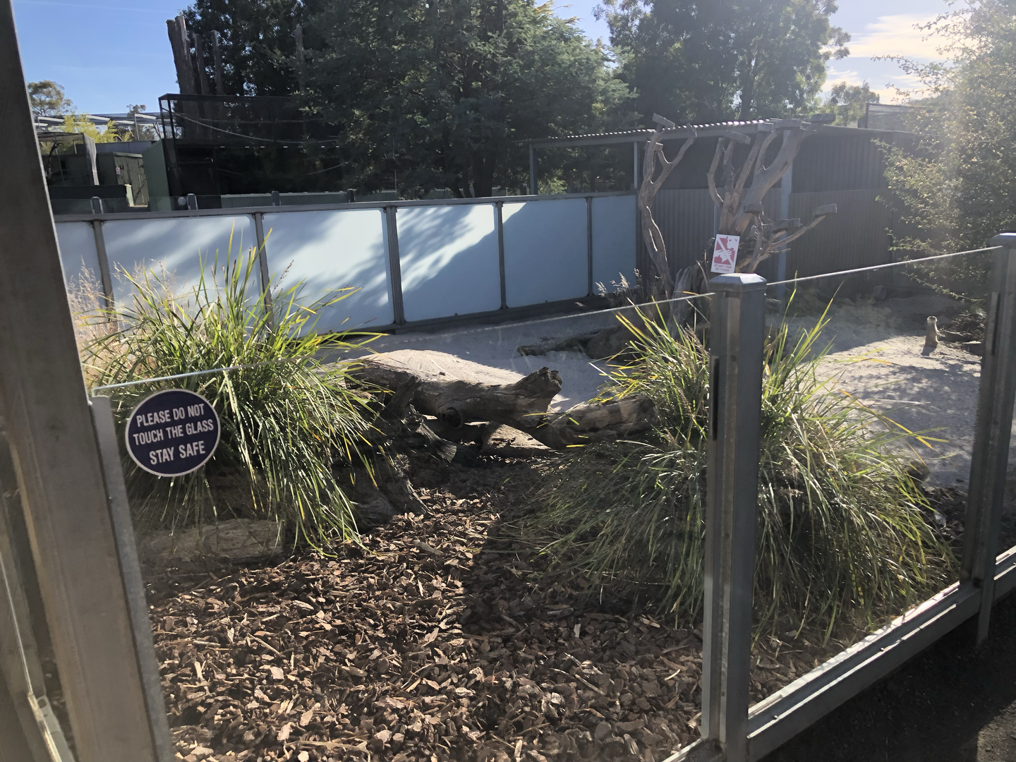 Meerkat enclosure-2 of 2