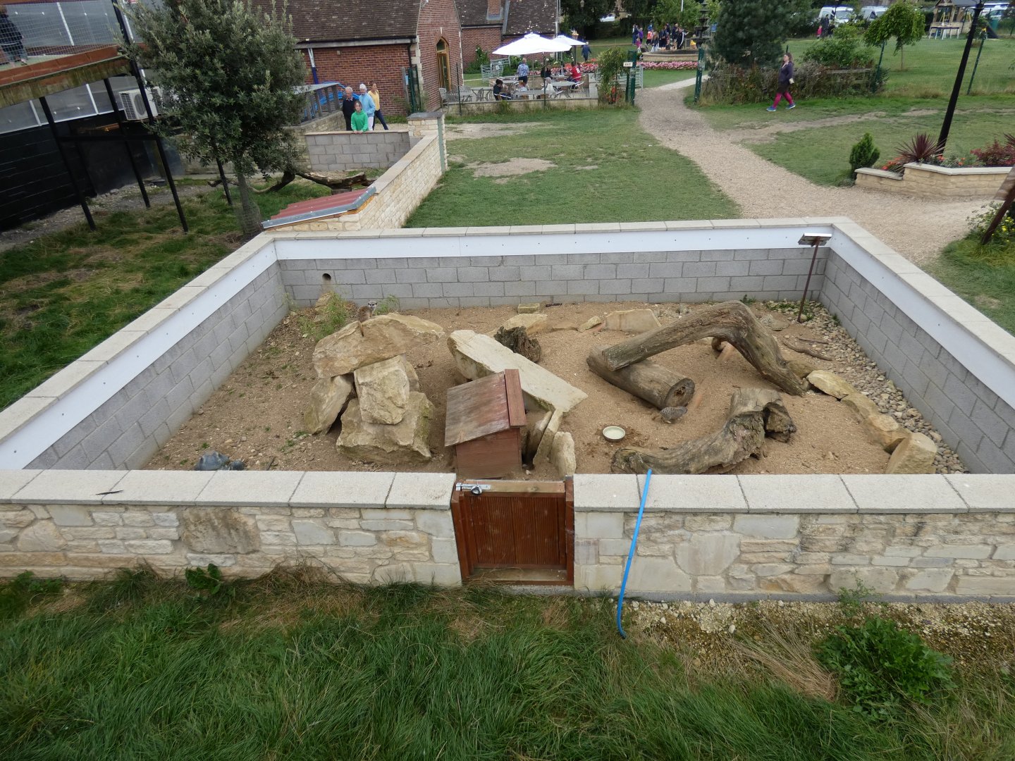 Meerkat enclosure (2)