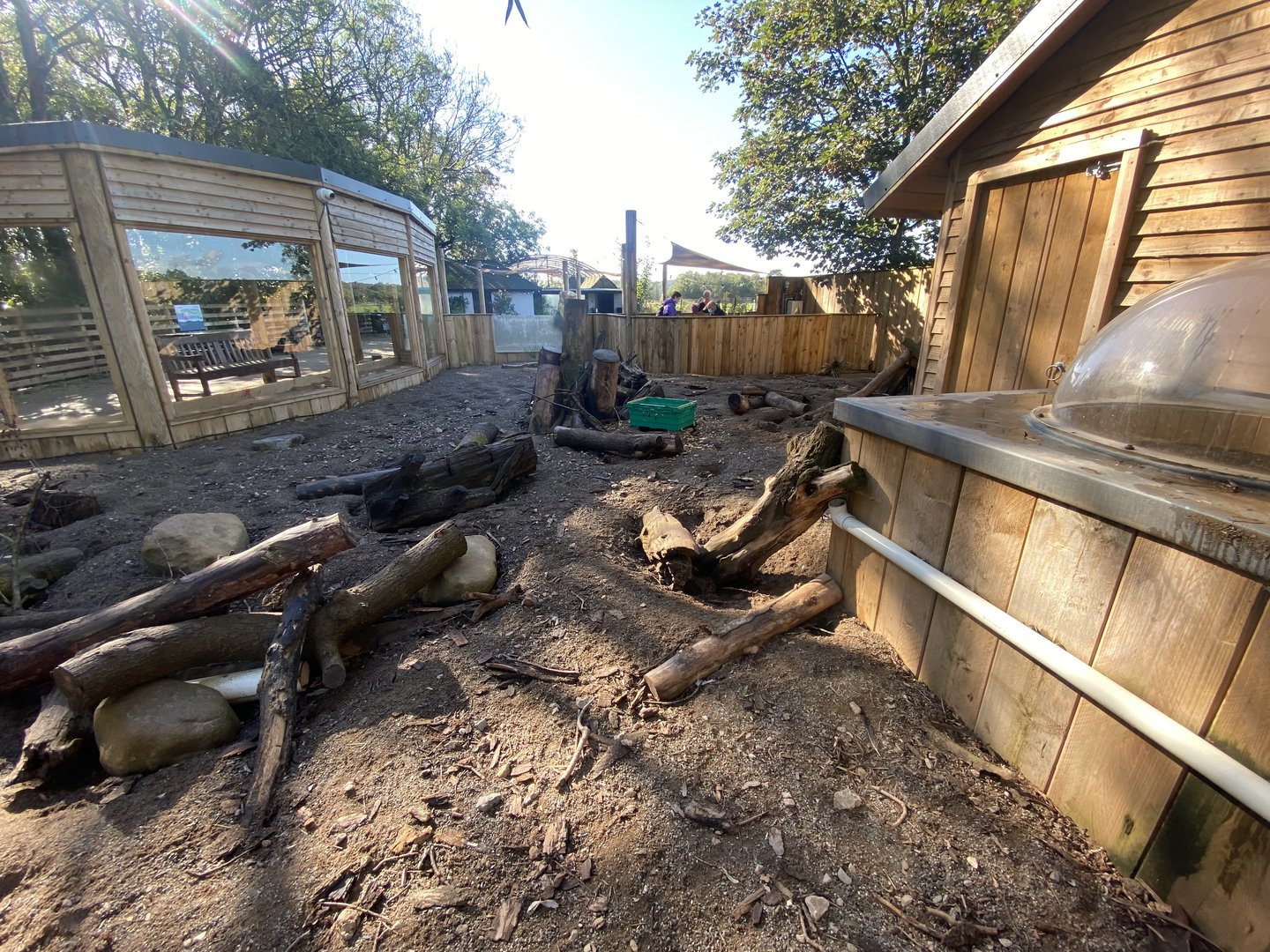 Meerkat enclosure 230922