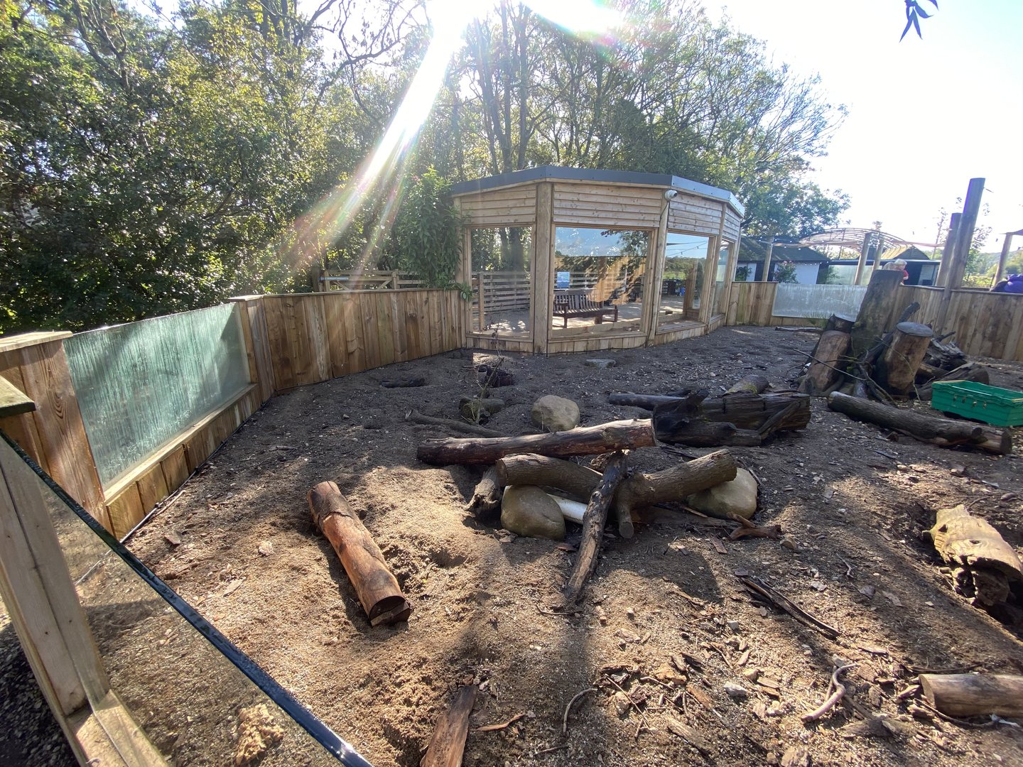 Meerkat enclosure 230922