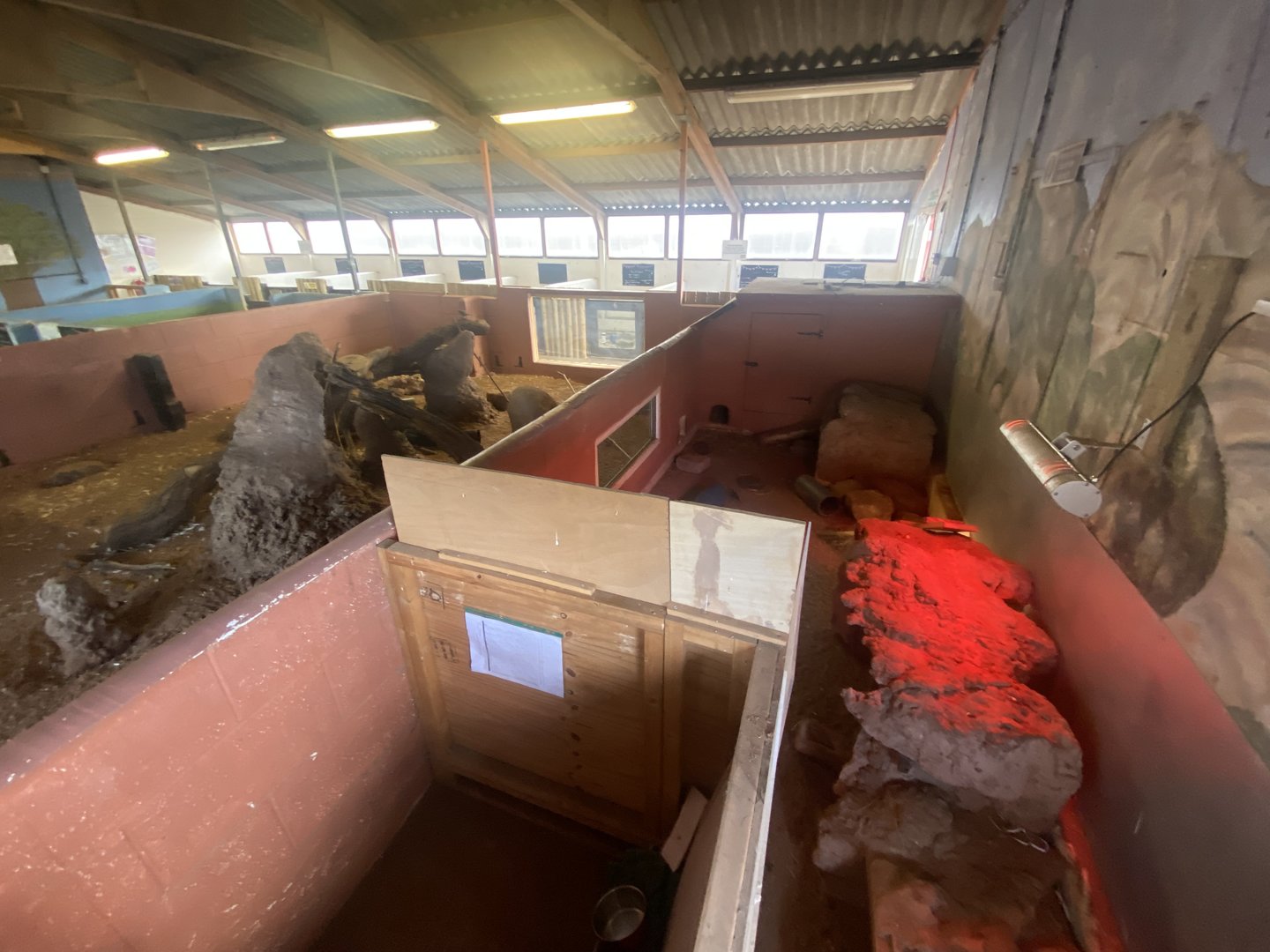 Meerkat enclosure 231022