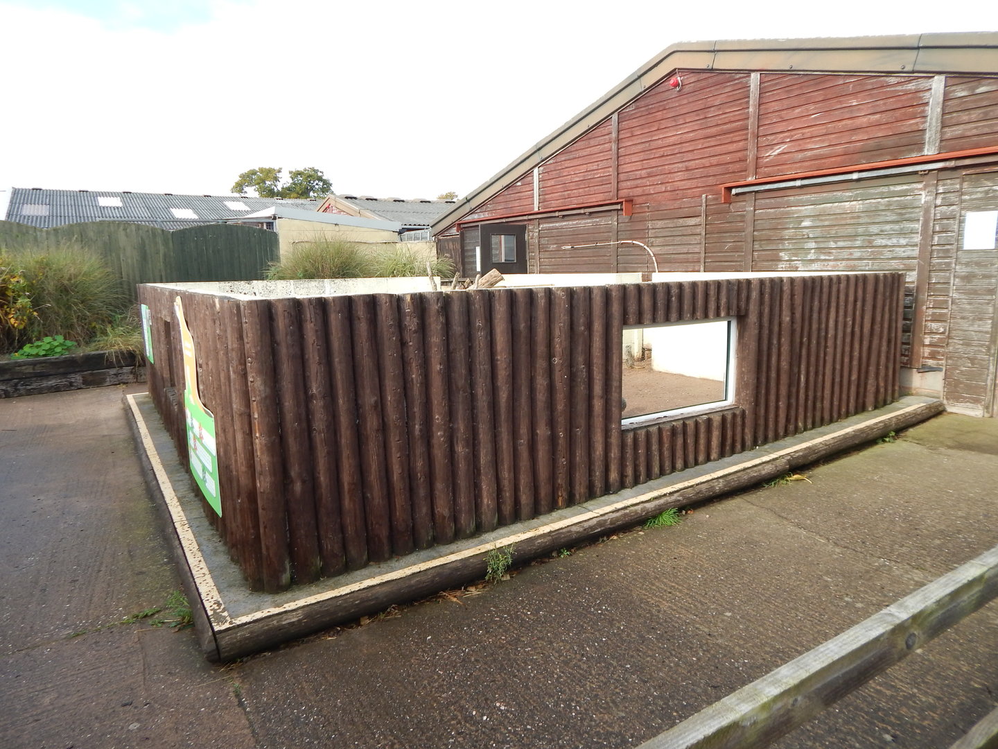 Meerkat enclosure 231022