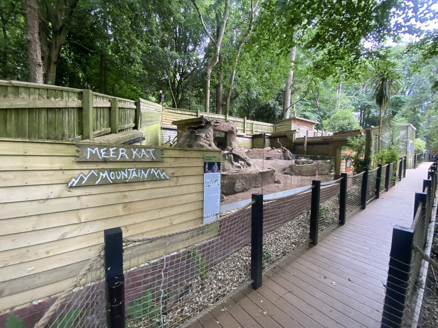 Meerkat enclosure 250623