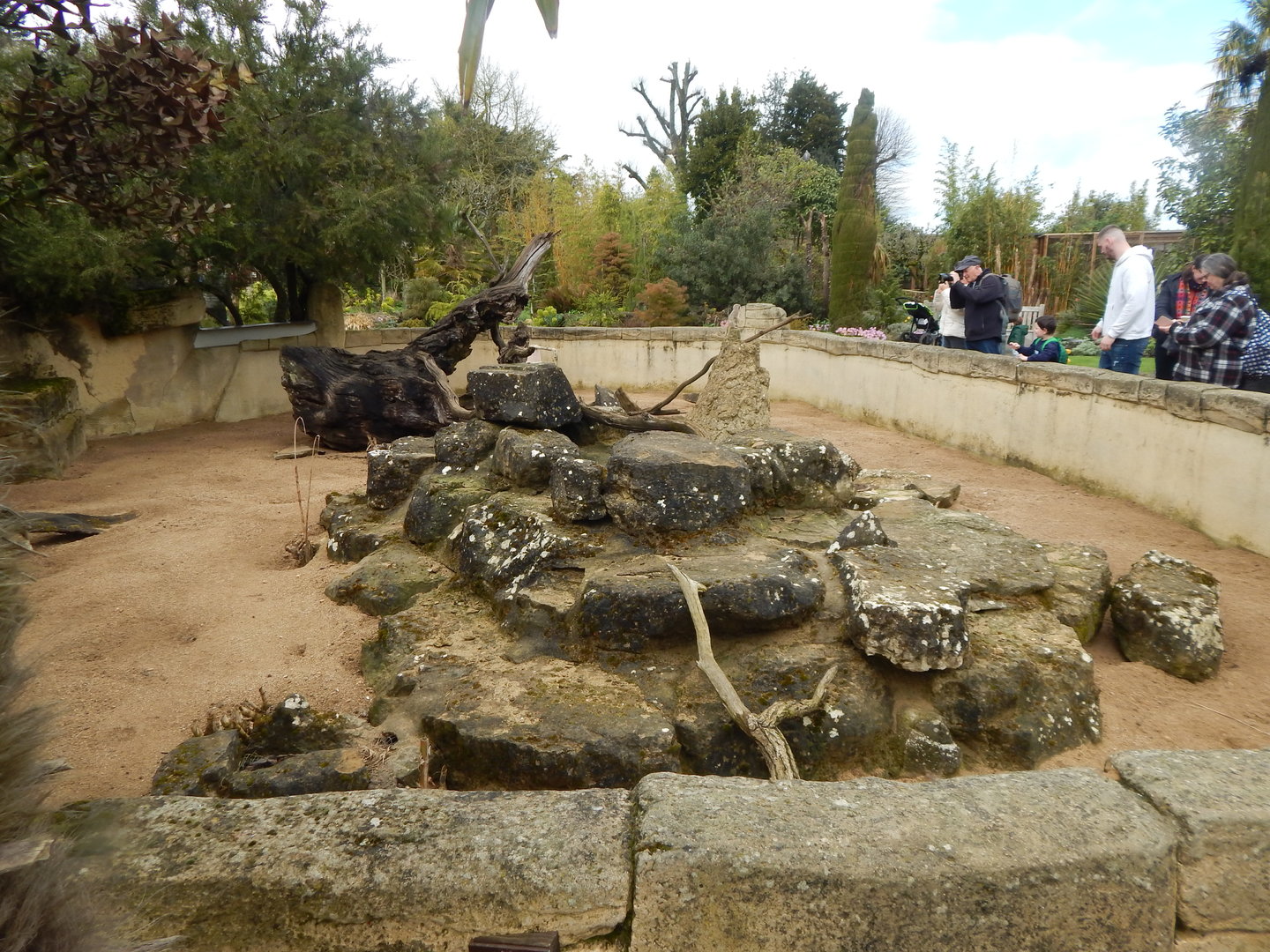 Meerkat enclosure 280423